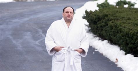 tony soprano dressing gown.